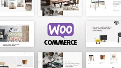WooCommerce online store