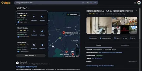 Illustration of local SEO with map and search results